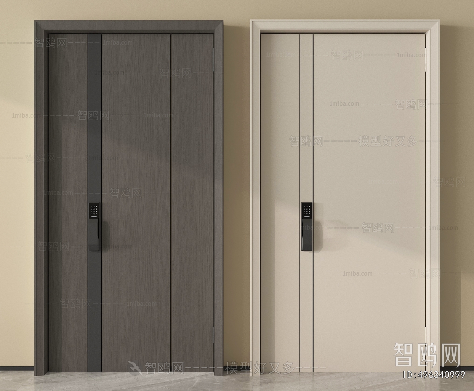 Modern Entrance Door