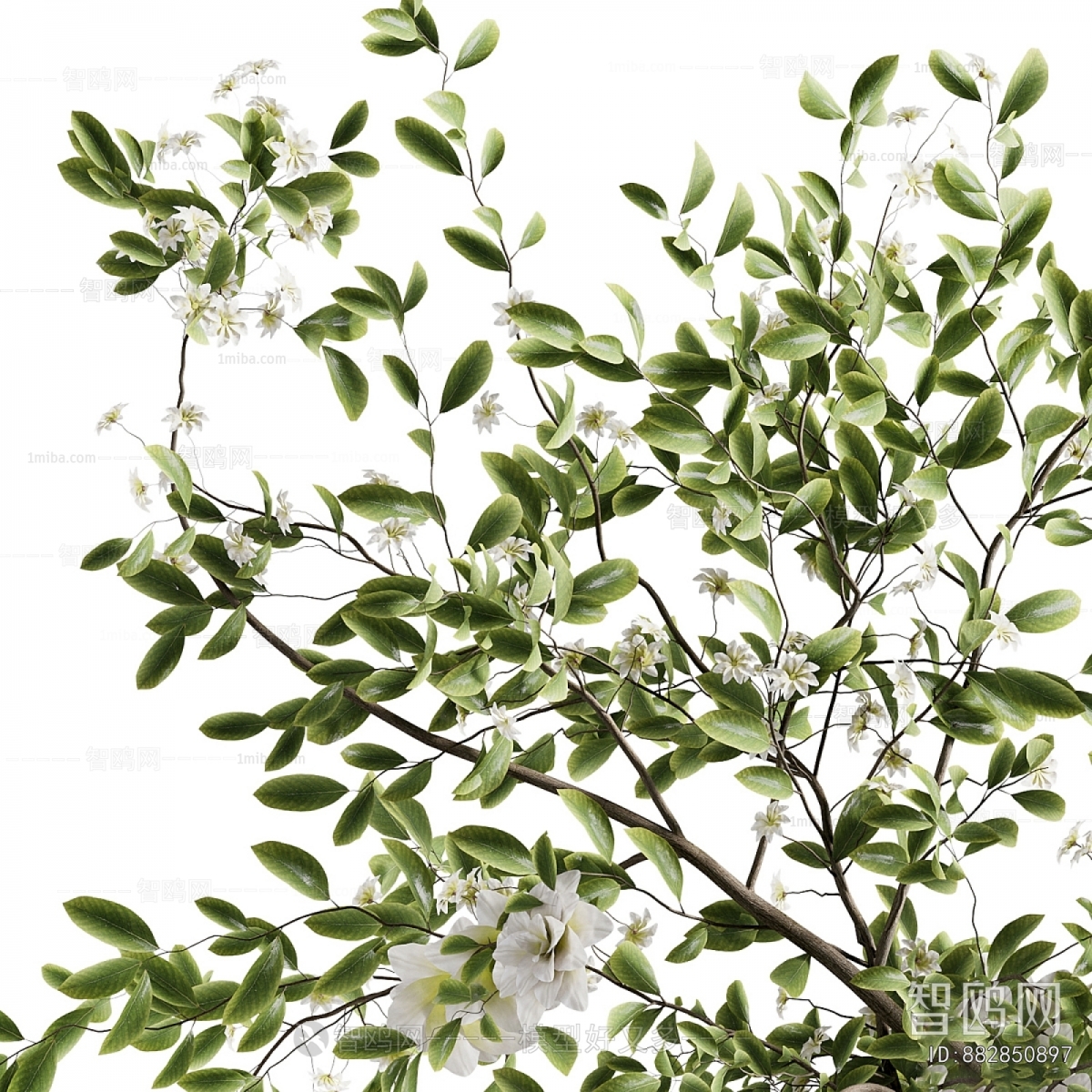 Modern Aquatic Green Plant