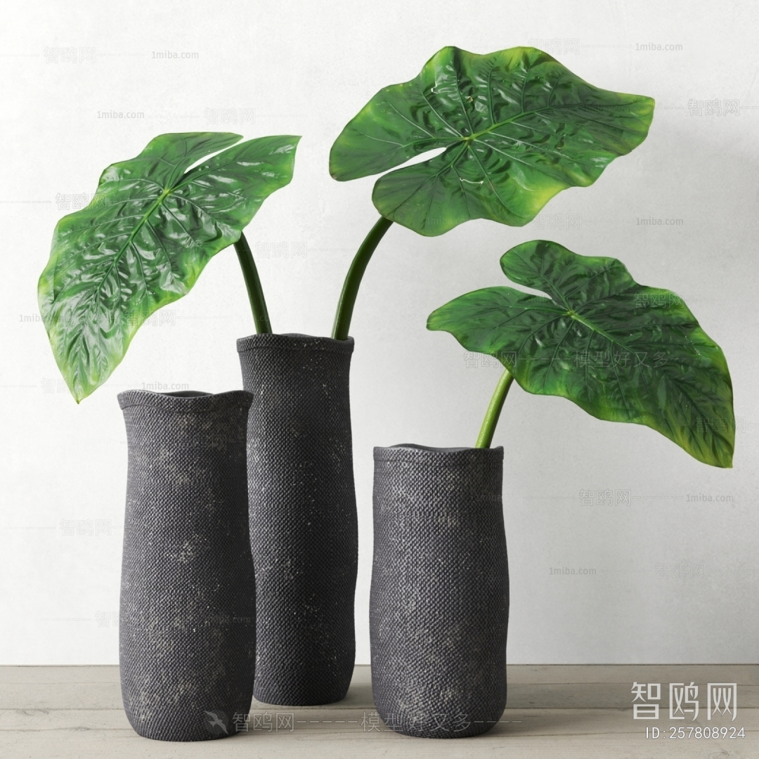 Modern Ground Green Plant Potted Plants