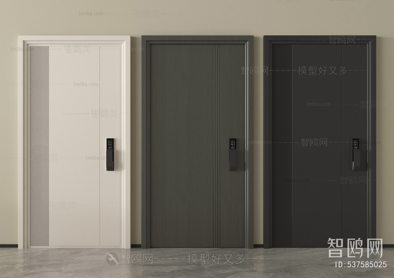Modern Entrance Door