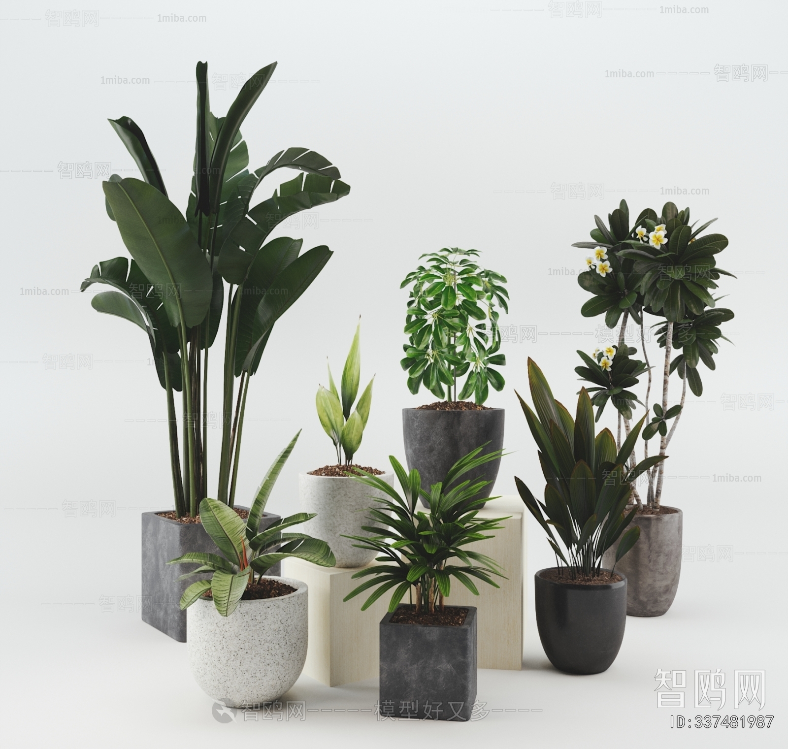 Modern Ground Green Plant Potted Plants
