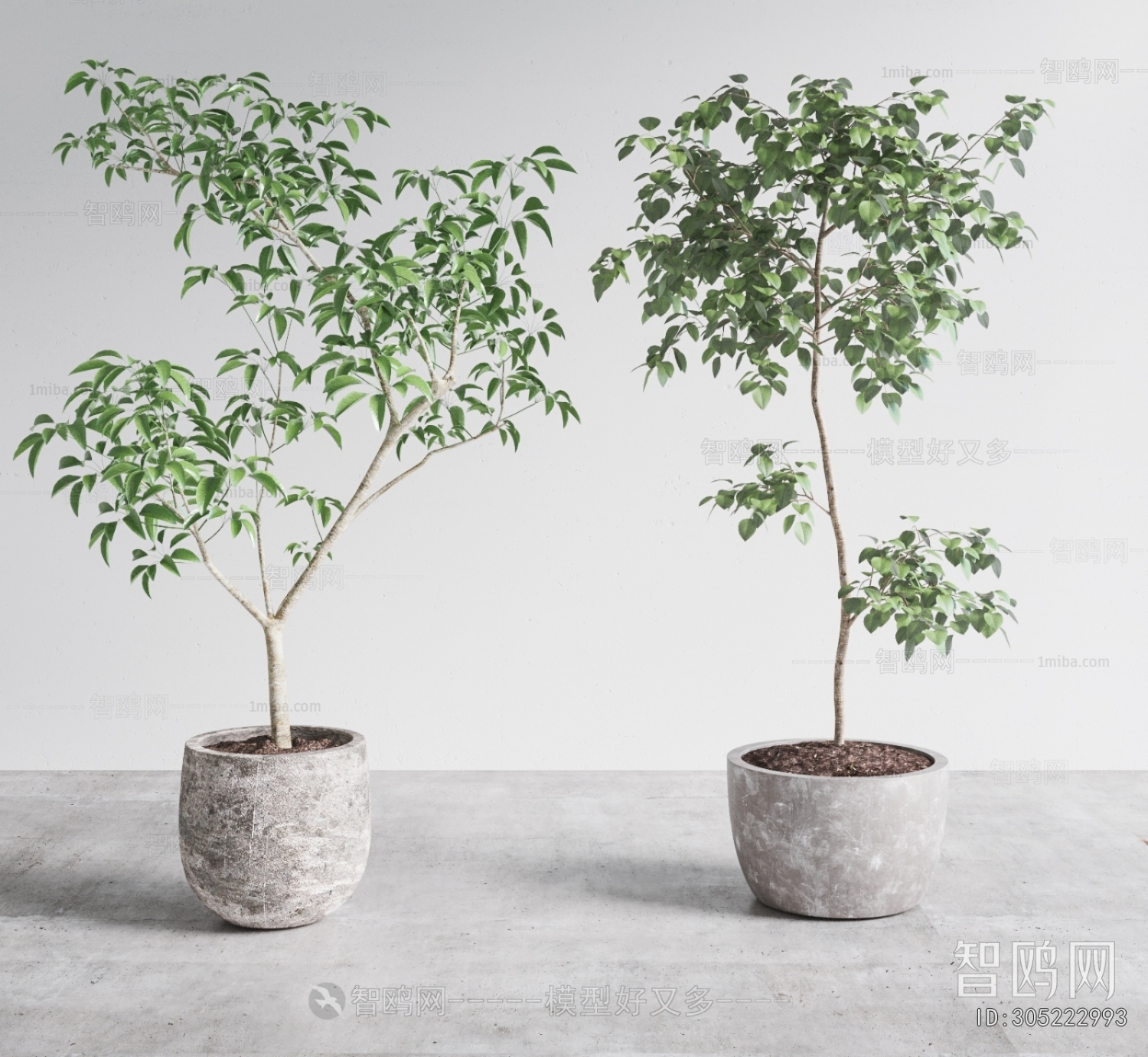 Modern Ground Green Plant Potted Plants