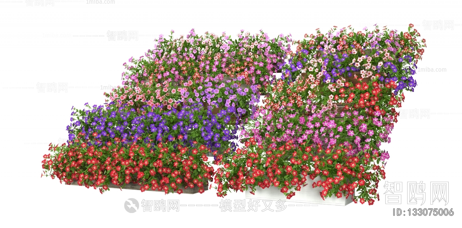 Modern Flowers And Grass