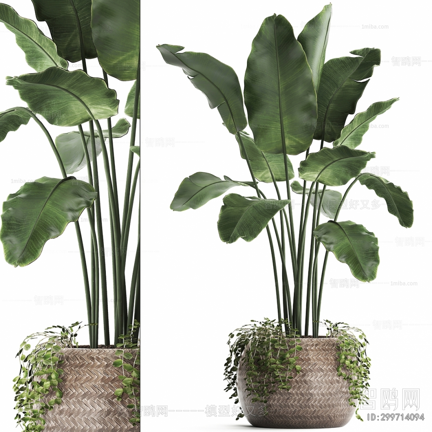 Modern Ground Green Plant Potted Plants
