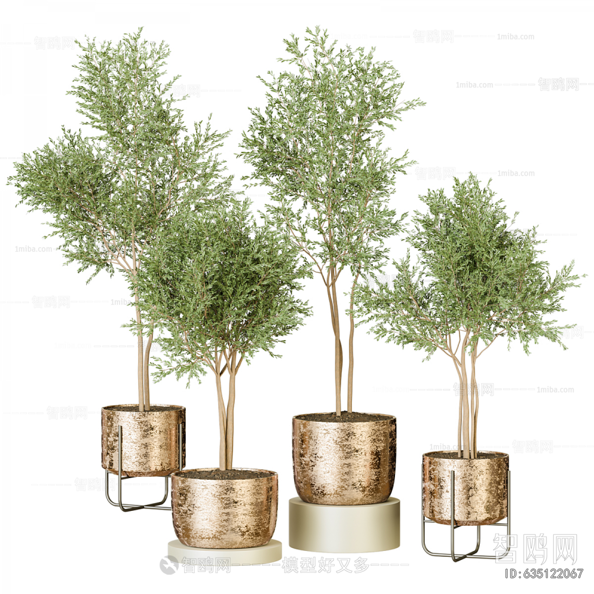 Modern Ground Green Plant Potted Plants