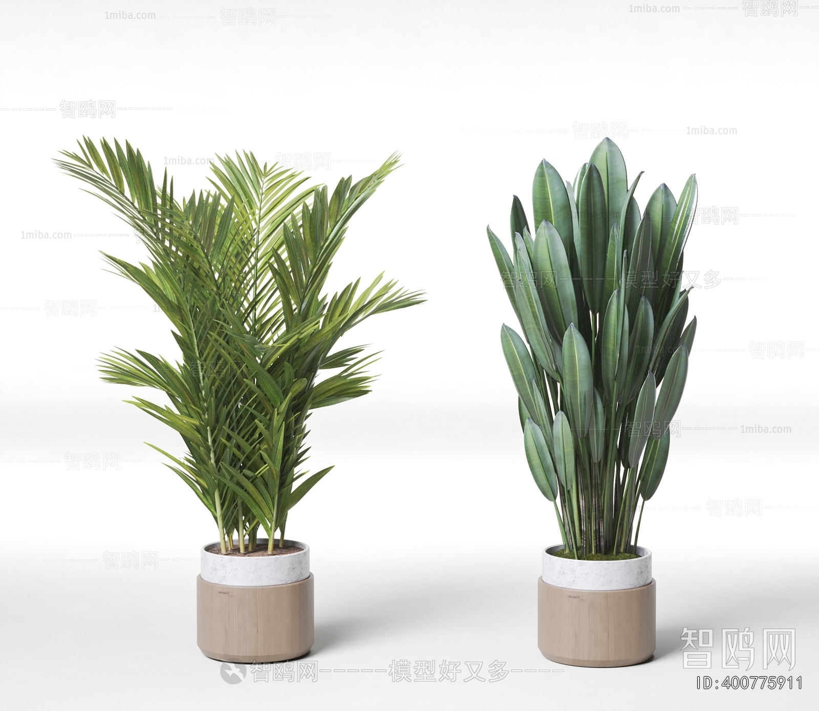 Modern Ground Green Plant Potted Plants