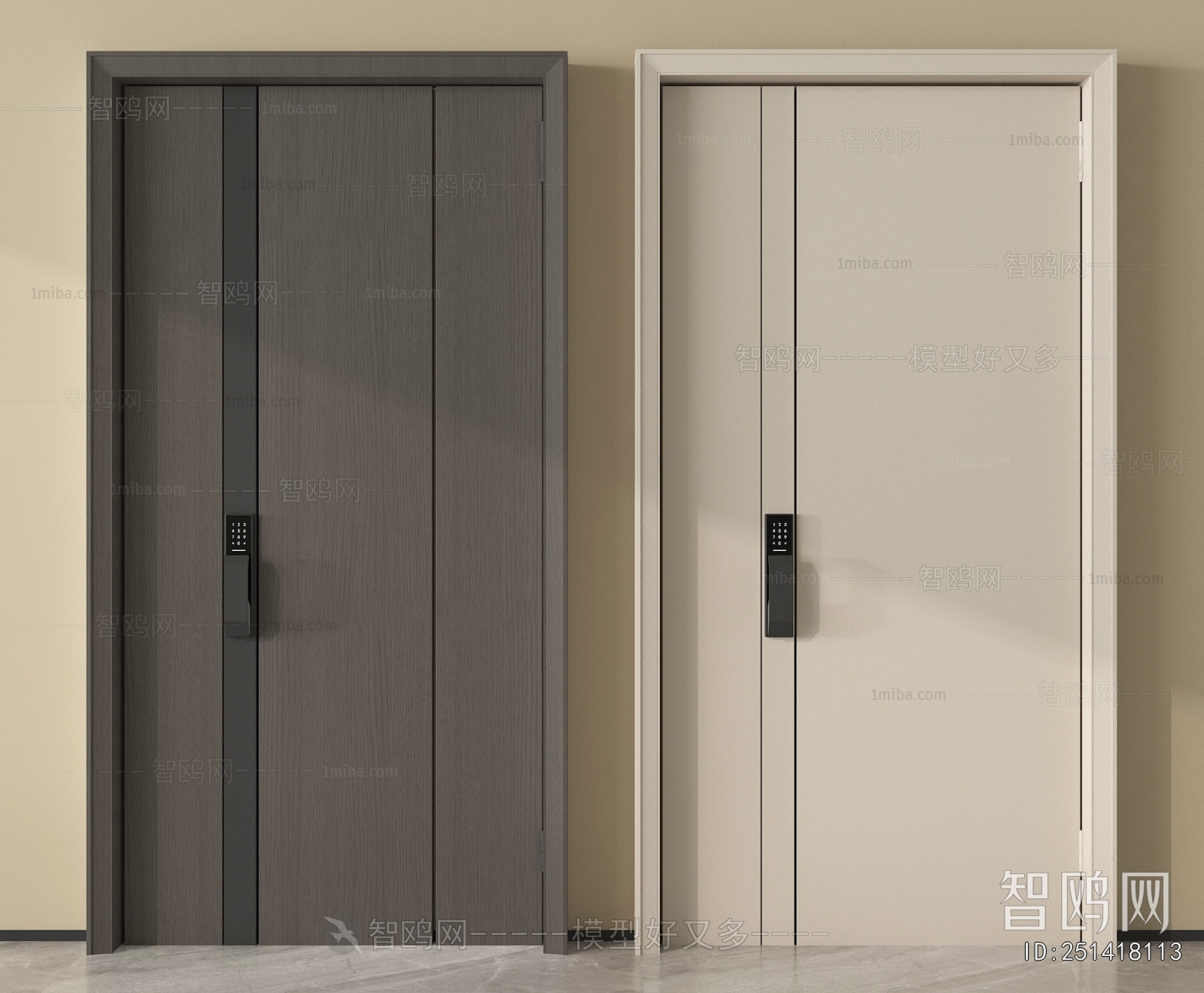 Modern Entrance Door