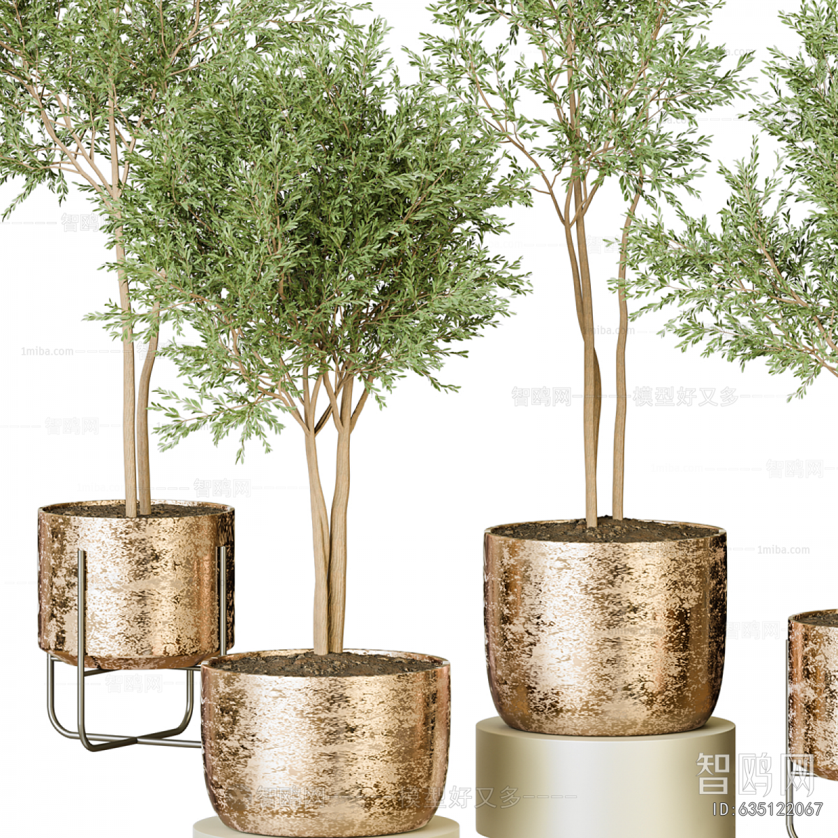 Modern Ground Green Plant Potted Plants