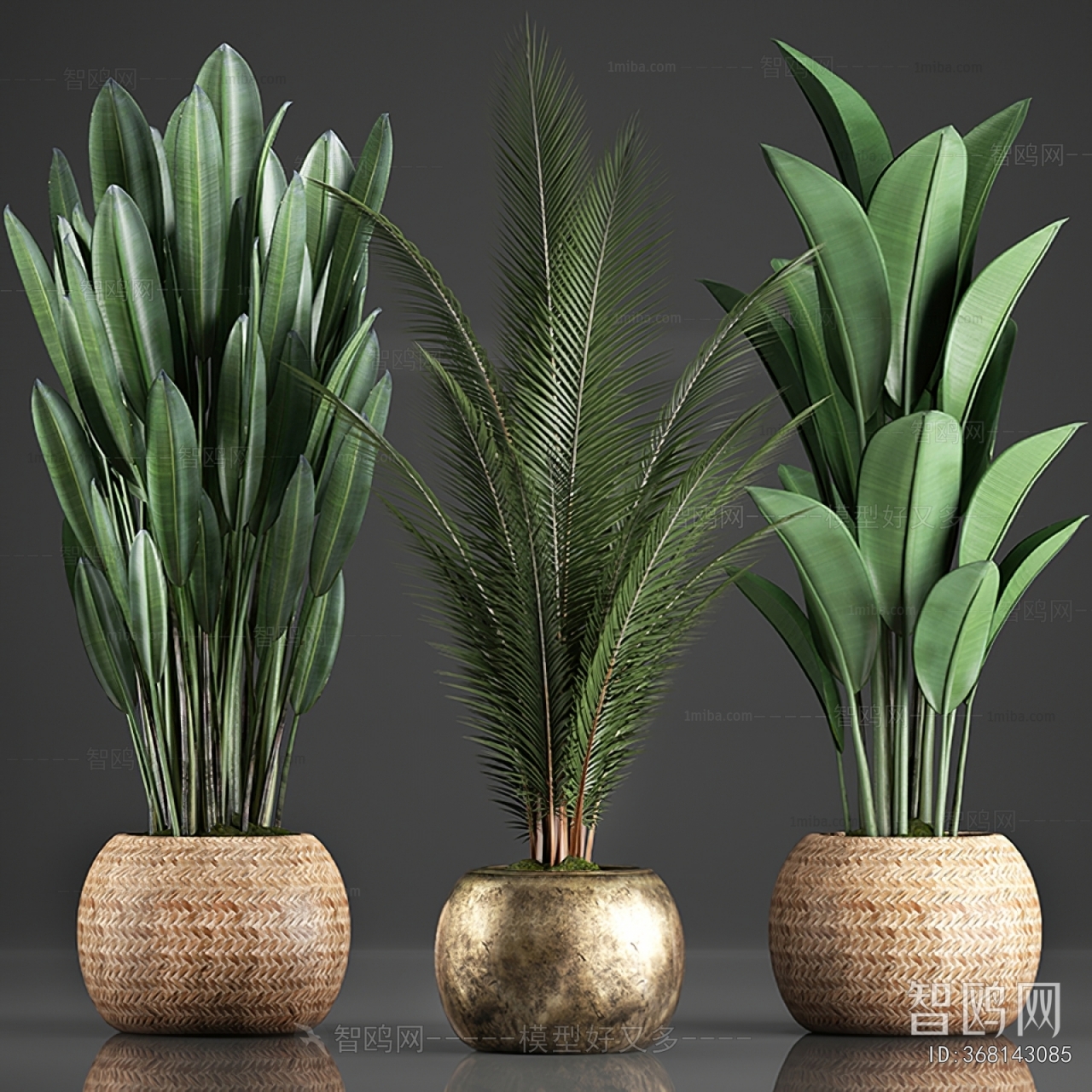 Modern Ground Green Plant Potted Plants