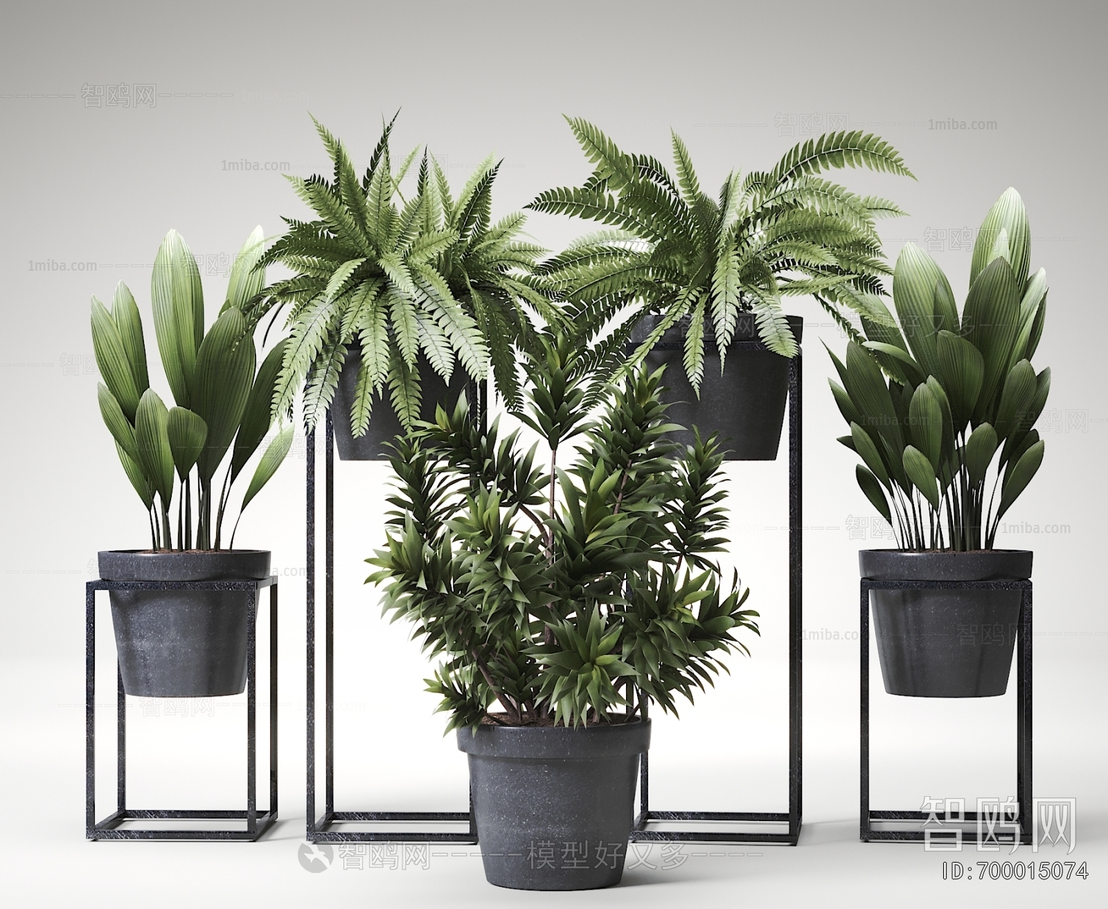 Modern Ground Green Plant Potted Plants