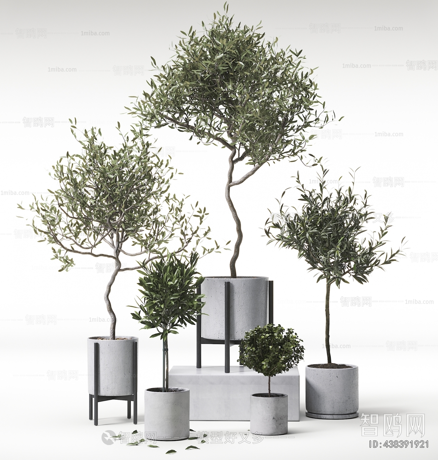 Modern Ground Green Plant Potted Plants