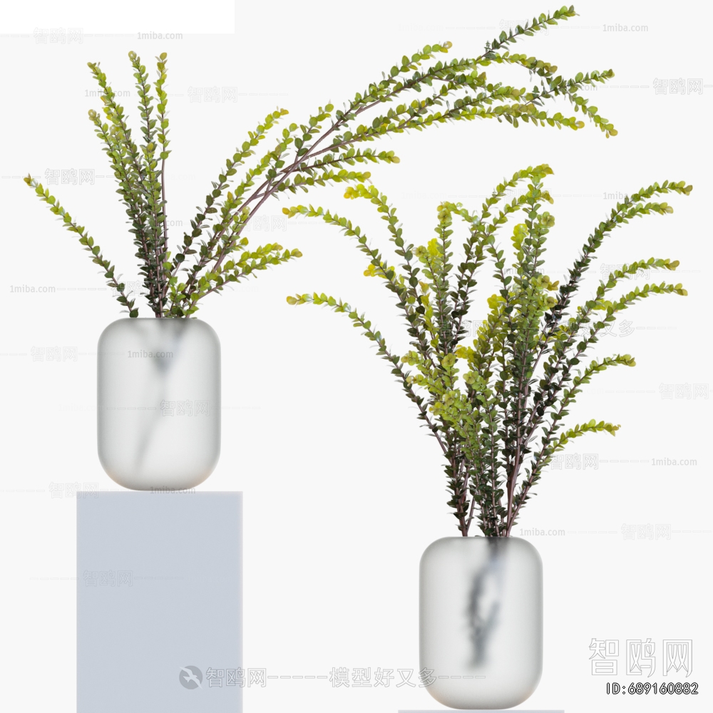 Modern Aquatic Green Plant