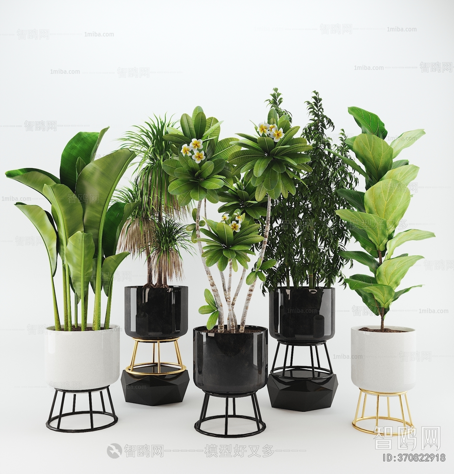 Modern Ground Green Plant Potted Plants