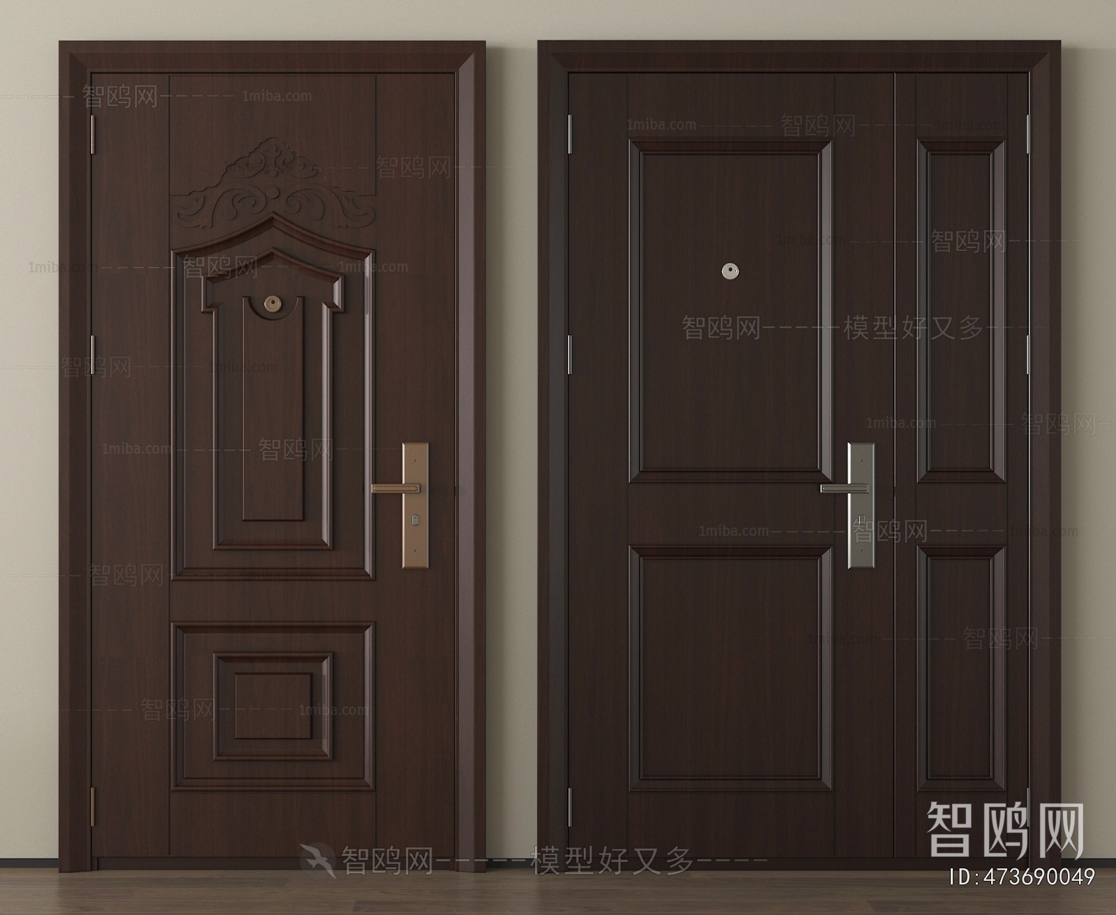 Modern Entrance Door