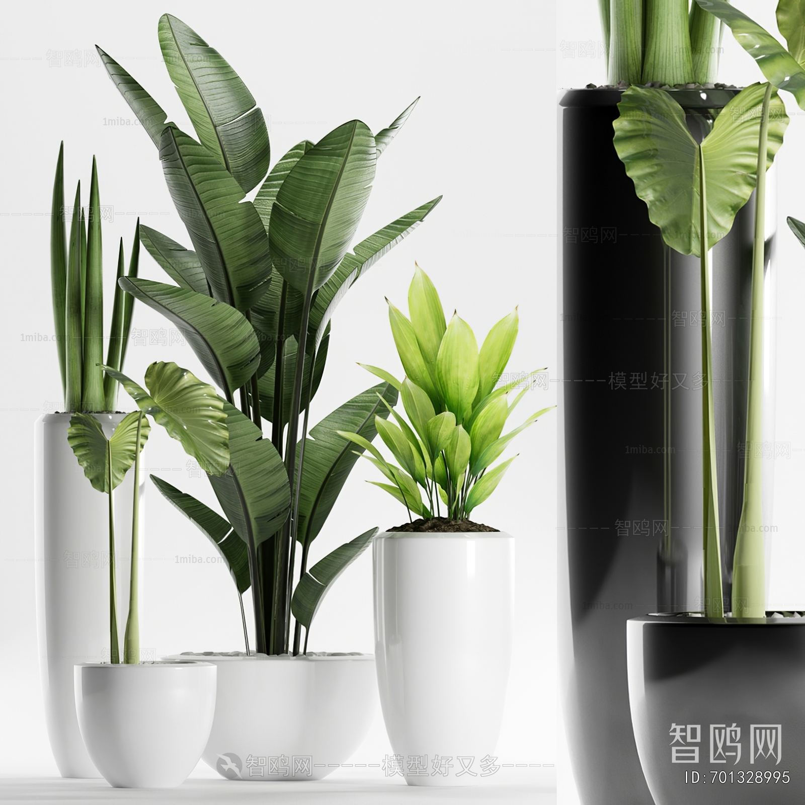 Modern Ground Green Plant Potted Plants