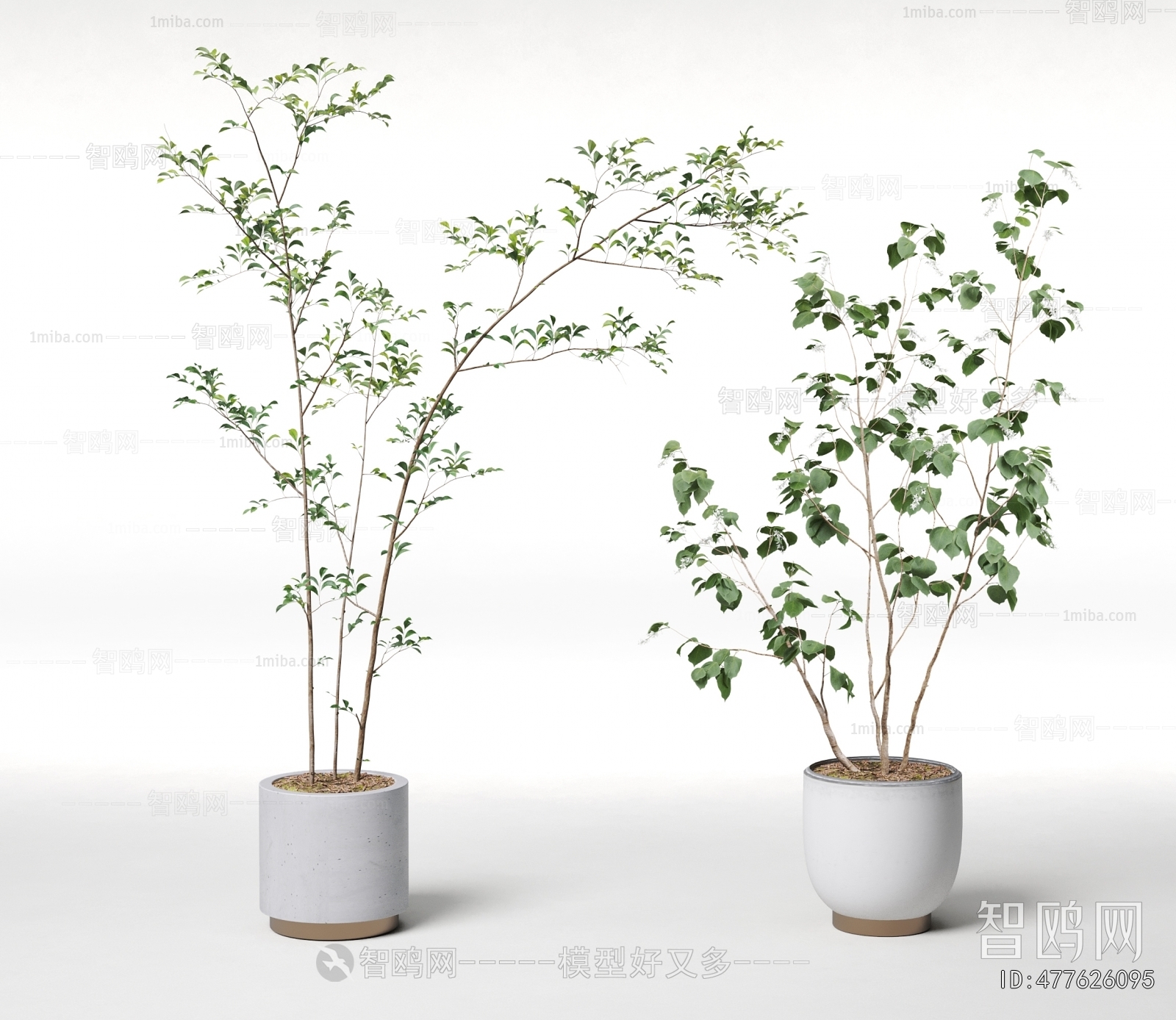 Modern Ground Green Plant Potted Plants