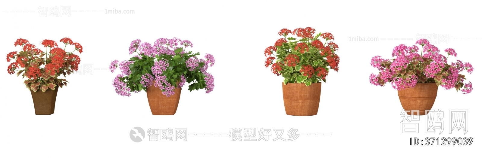 Modern Potted Green Plant