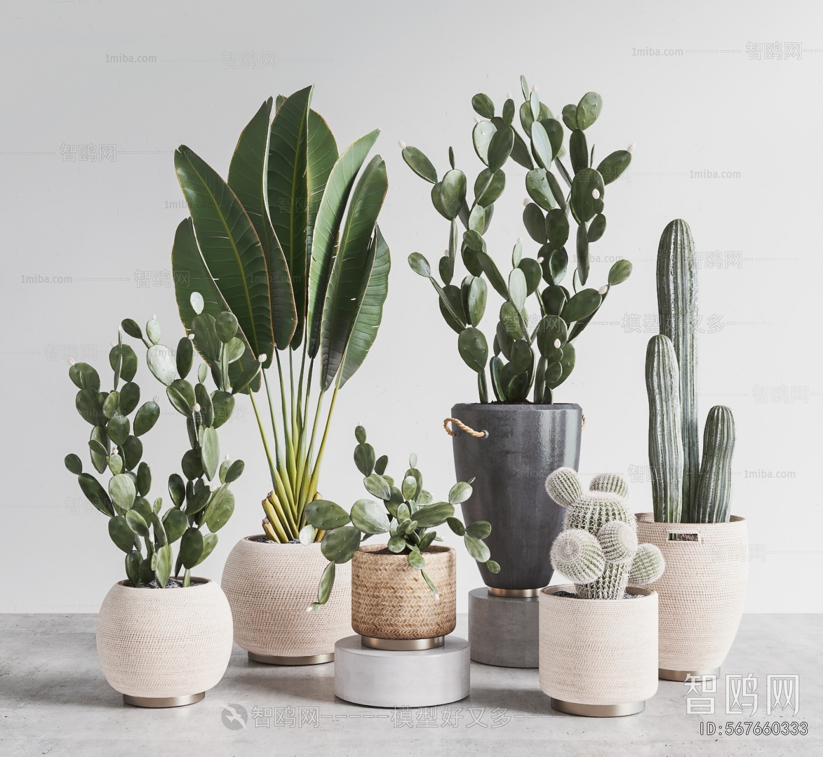Modern Ground Green Plant Potted Plants