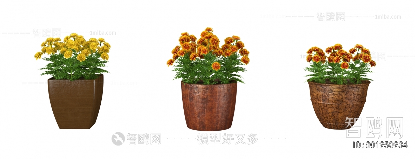 Modern Potted Green Plant