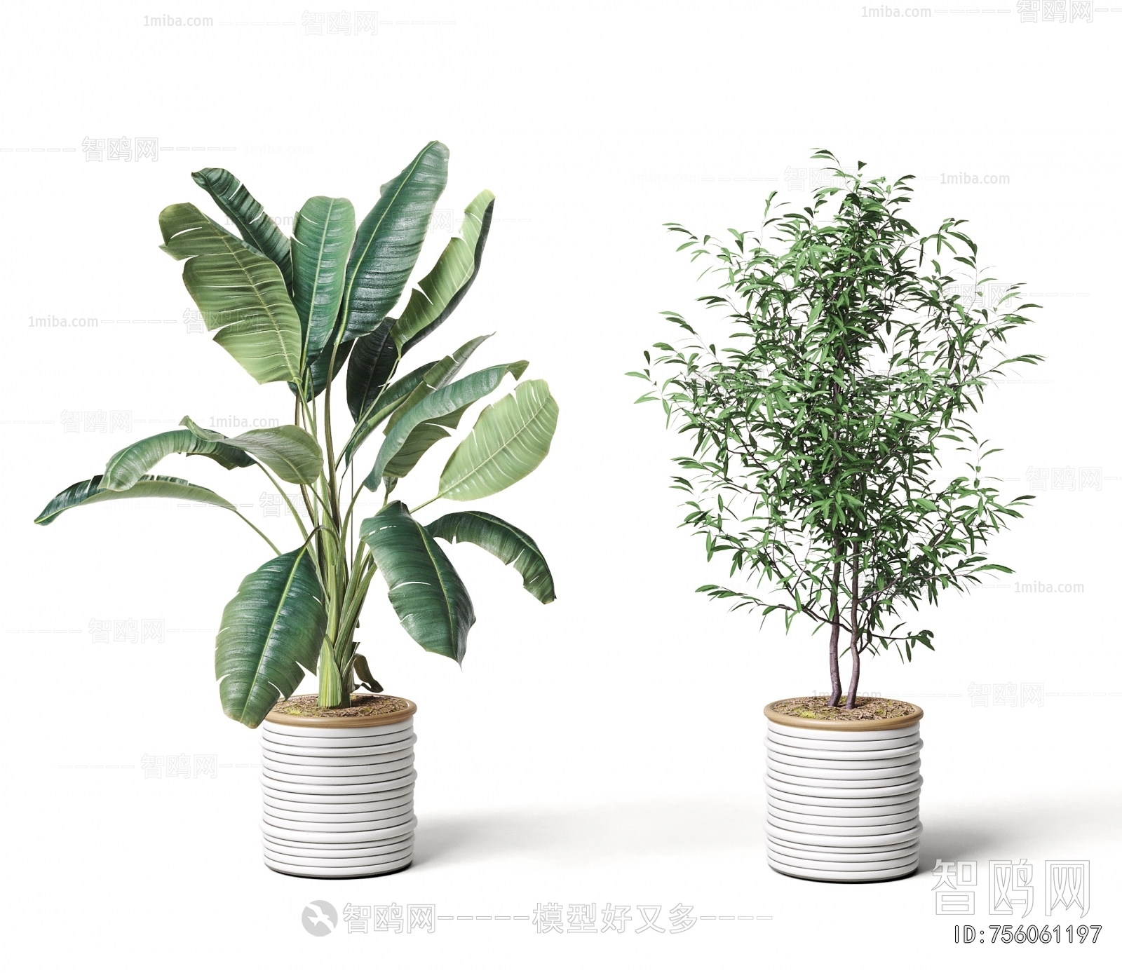Modern Ground Green Plant Potted Plants