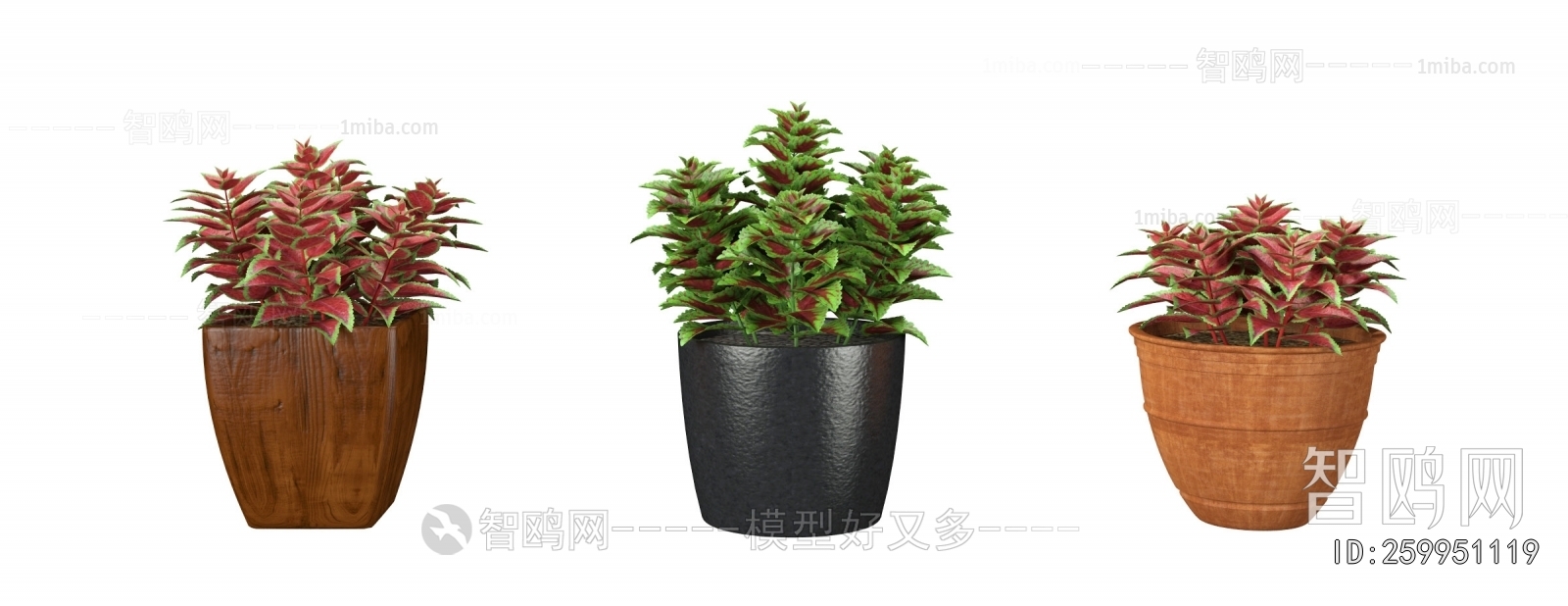 Modern Potted Green Plant