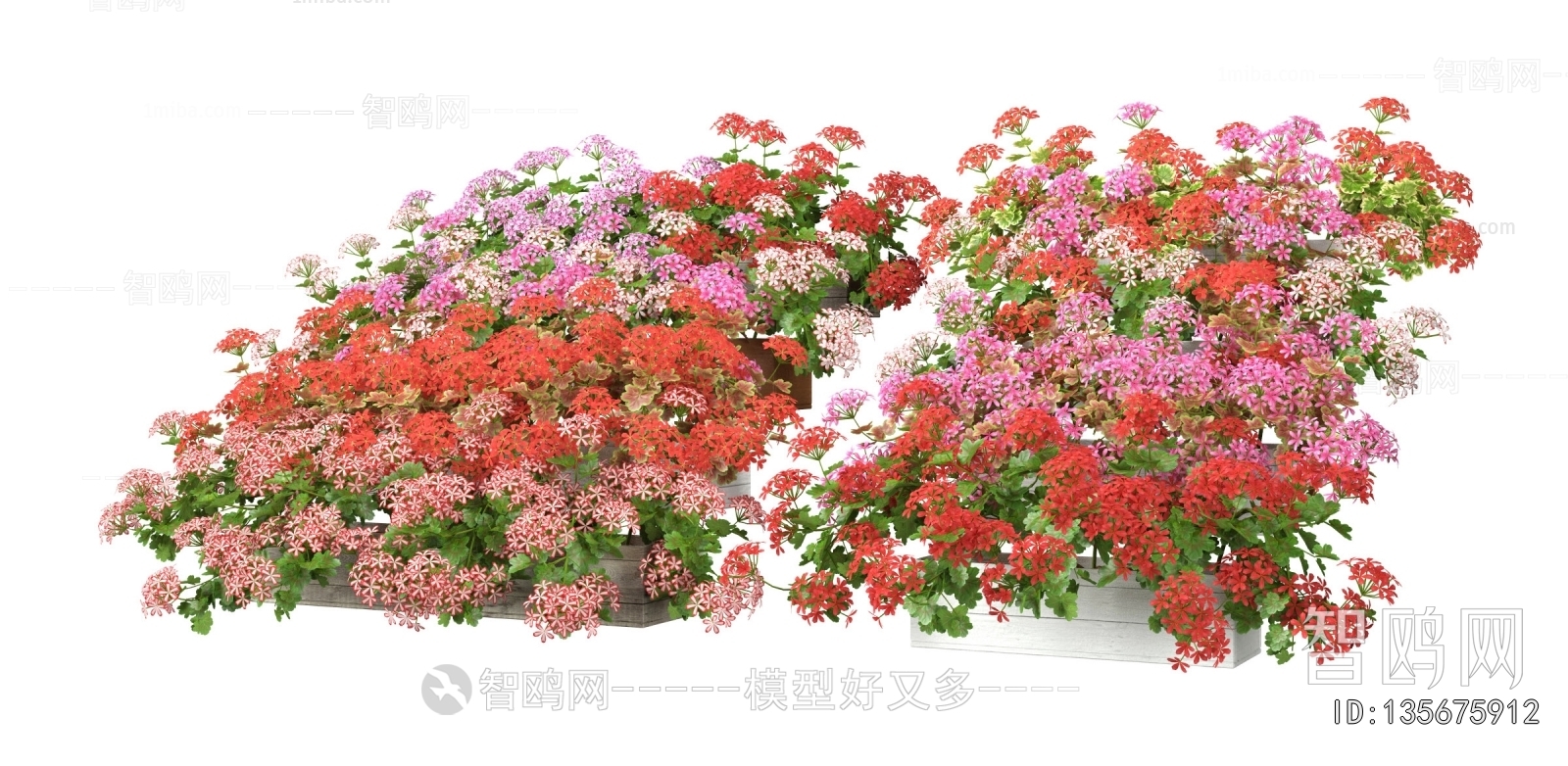 Modern Flowers And Grass