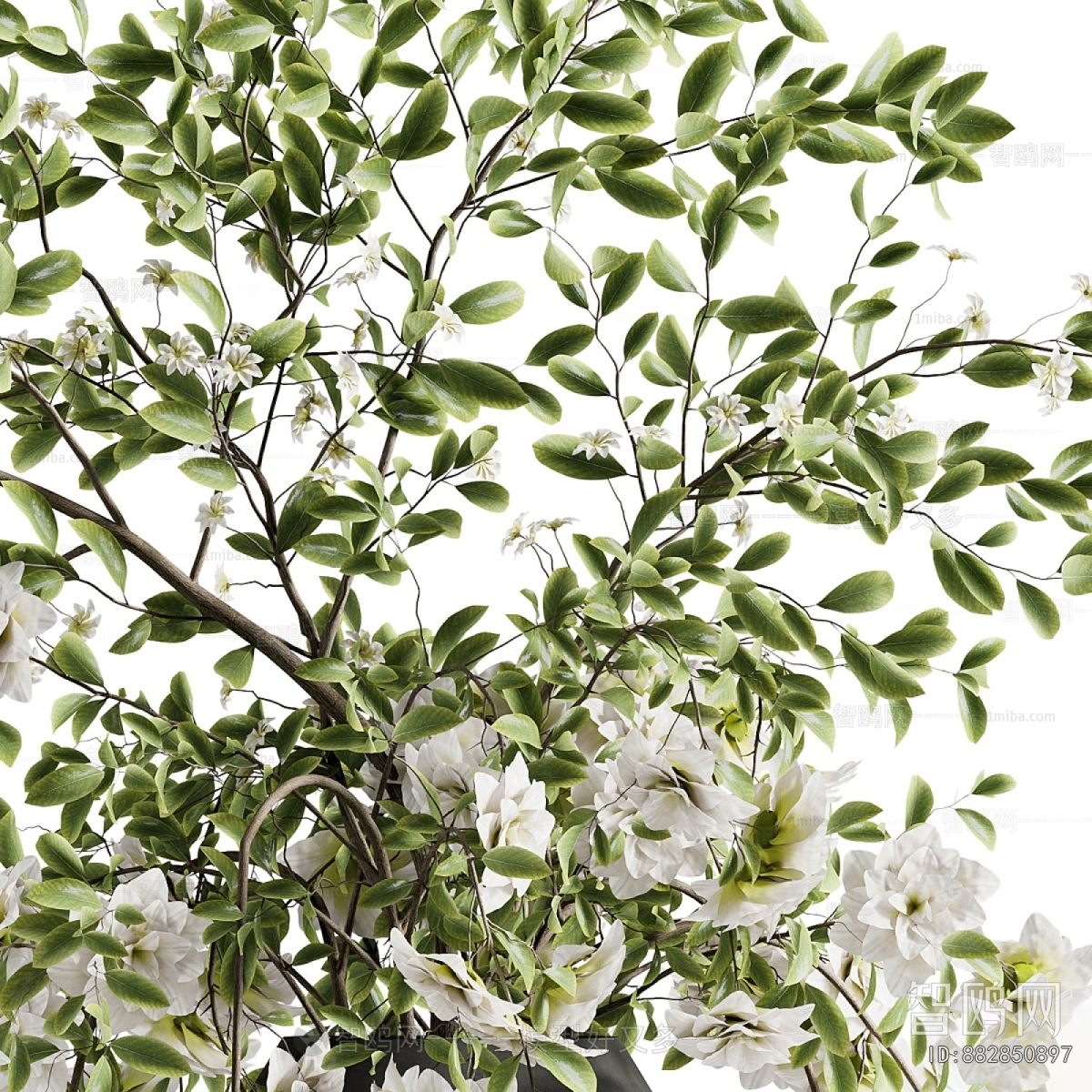 Modern Aquatic Green Plant