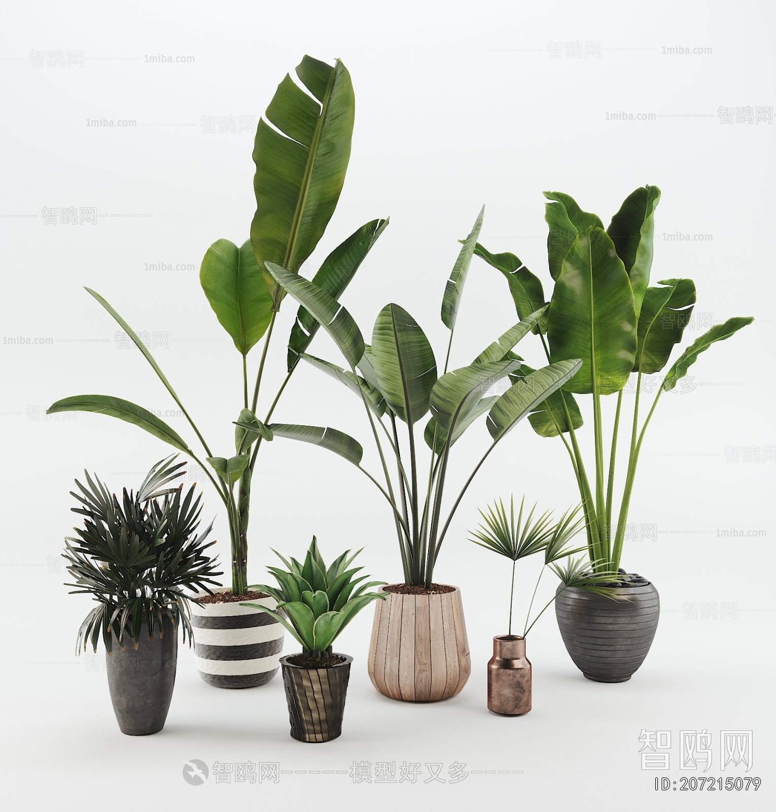 Modern Ground Green Plant Potted Plants