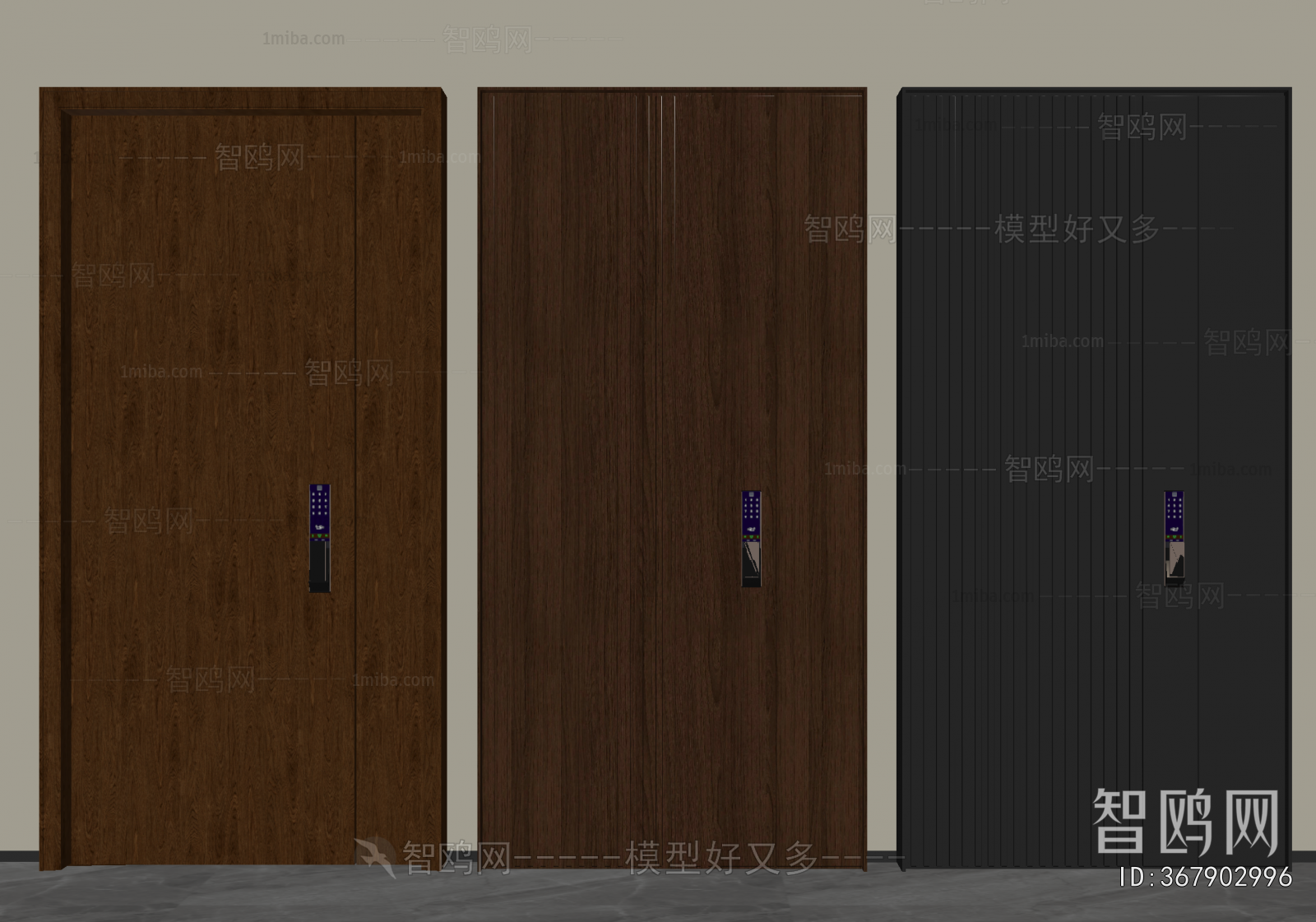 Modern Entrance Door