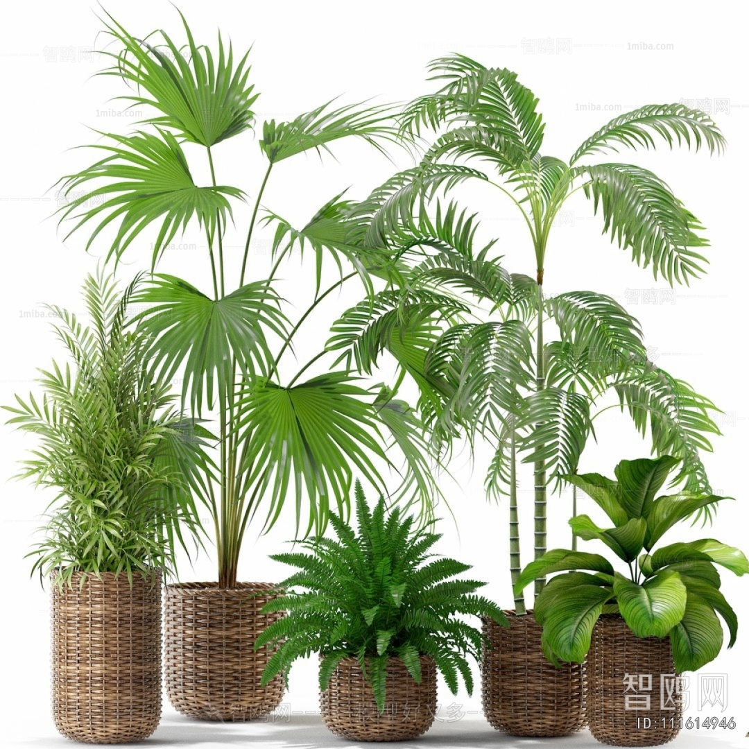 Modern Ground Green Plant Potted Plants