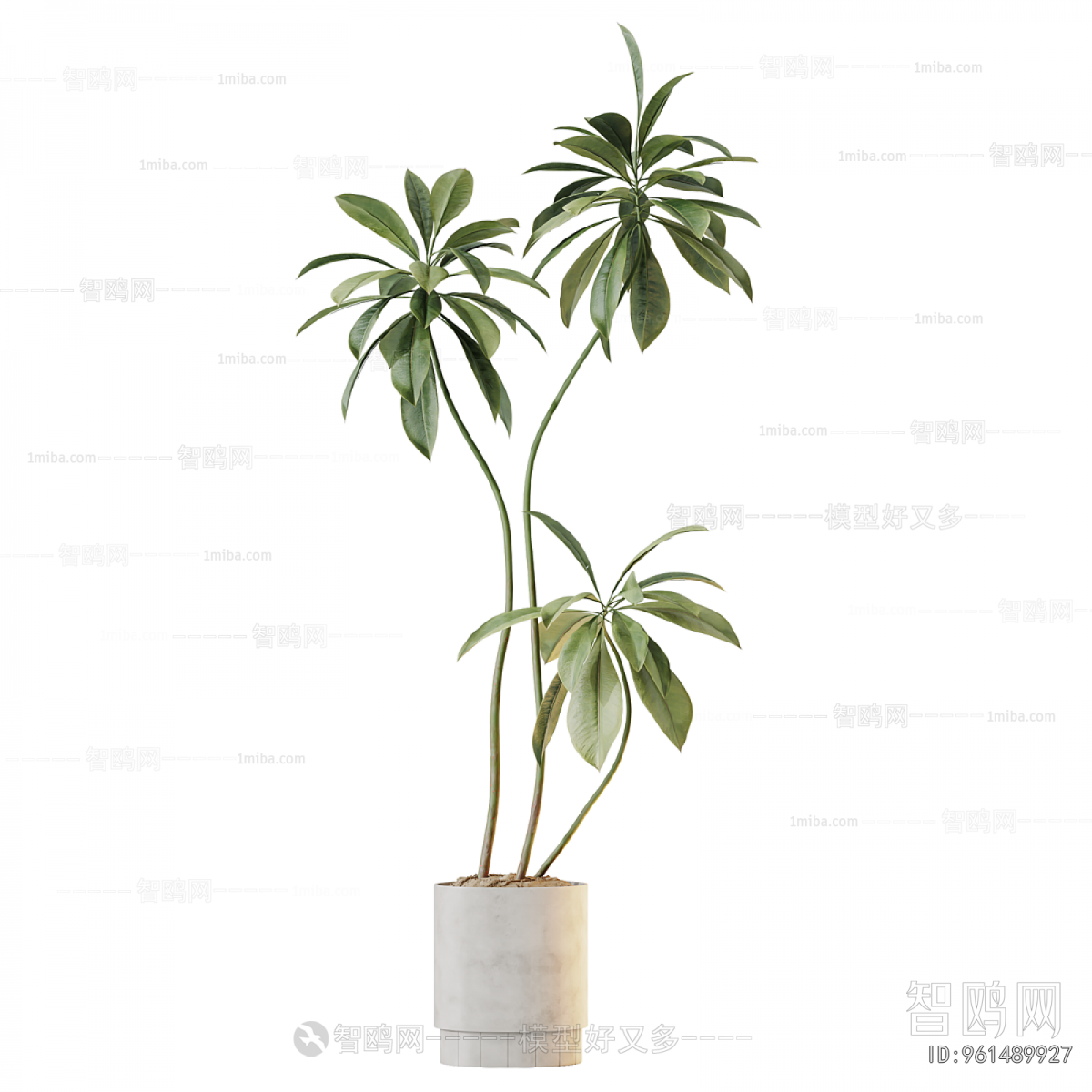Modern Ground Green Plant Potted Plants