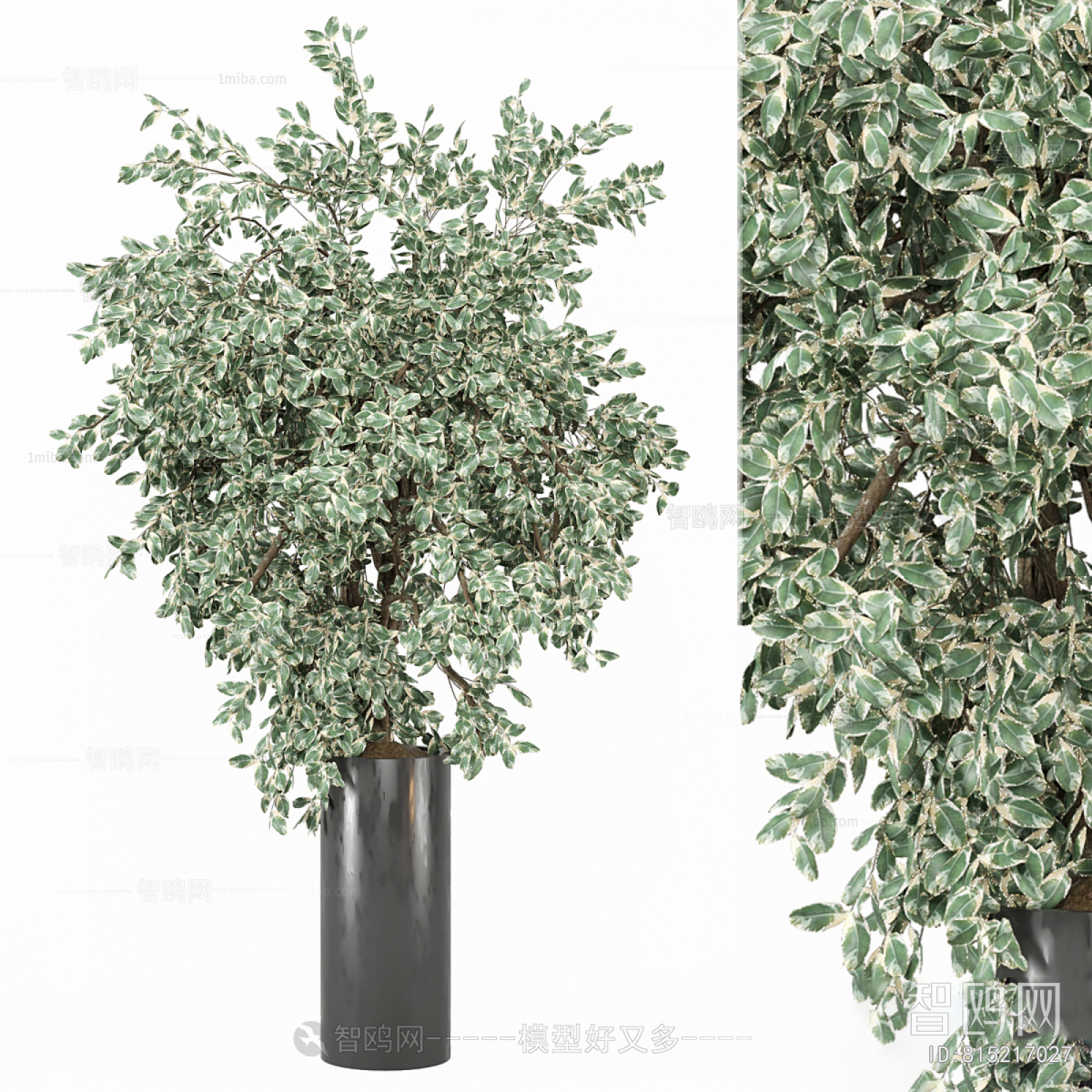 Modern Ground Green Plant Potted Plants