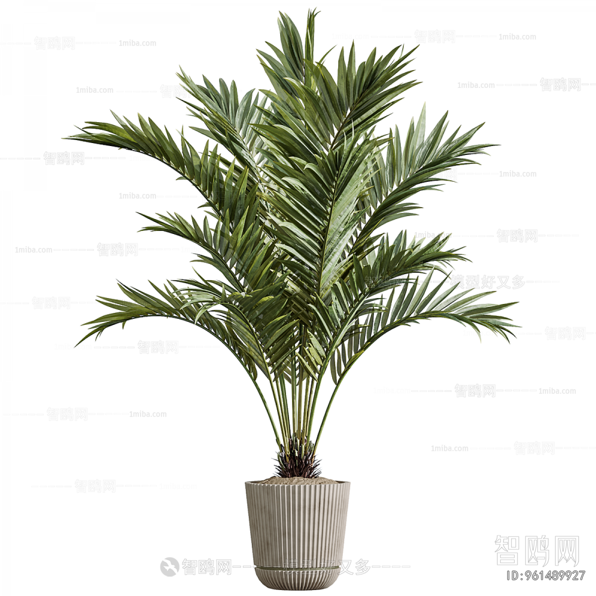 Modern Ground Green Plant Potted Plants