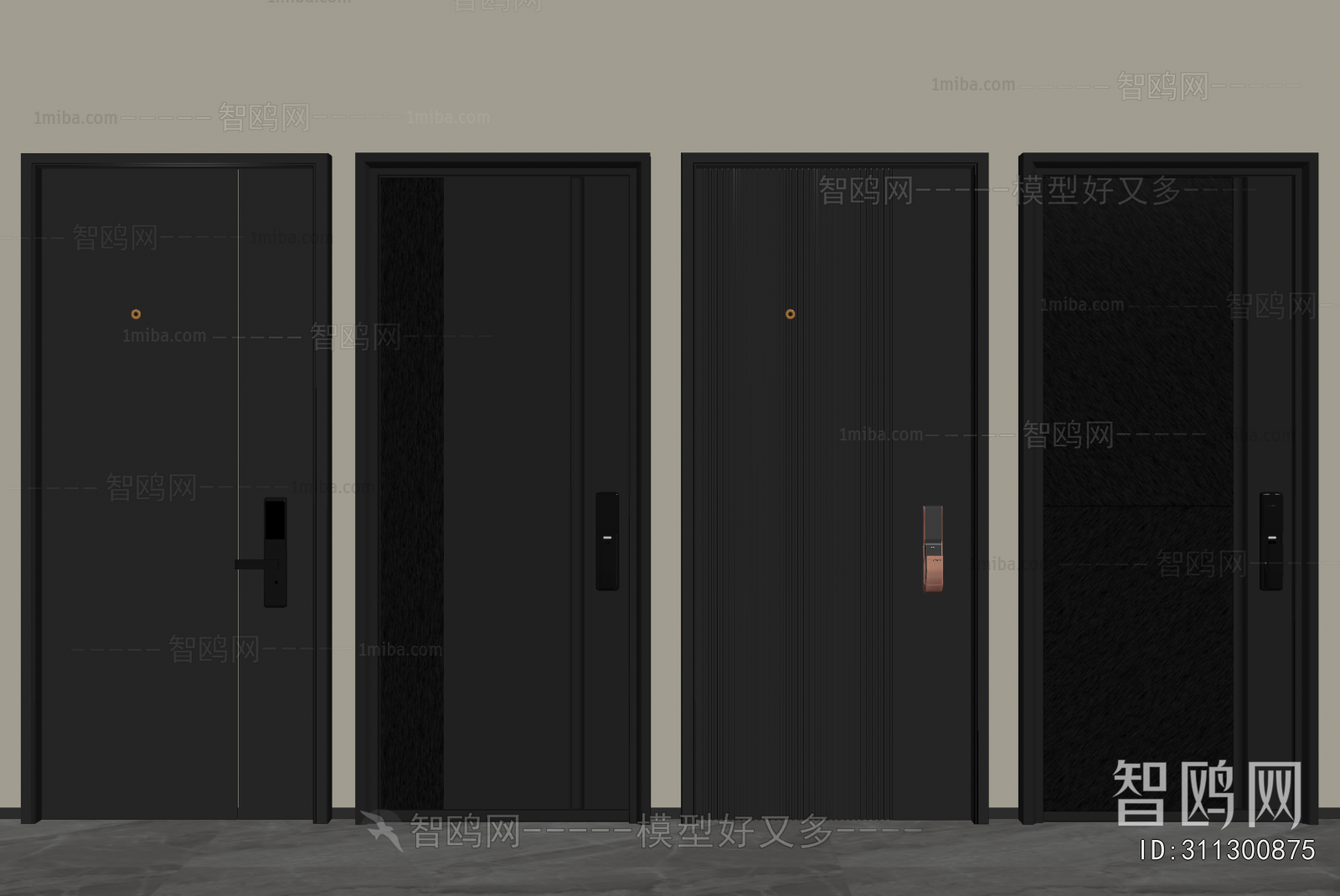 Modern Entrance Door