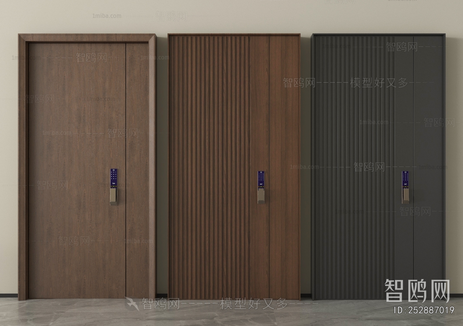Modern Entrance Door