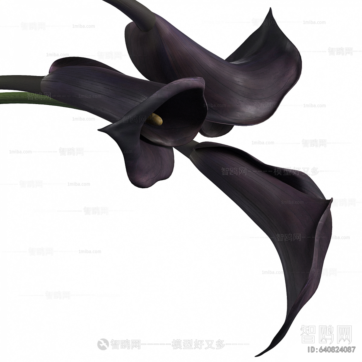 Modern Flower Arrangement