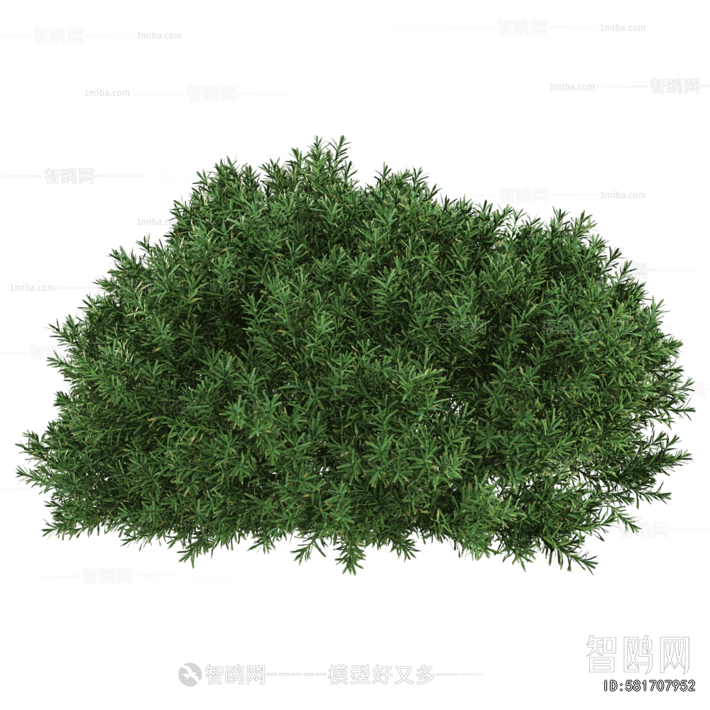 Modern Shrubbery