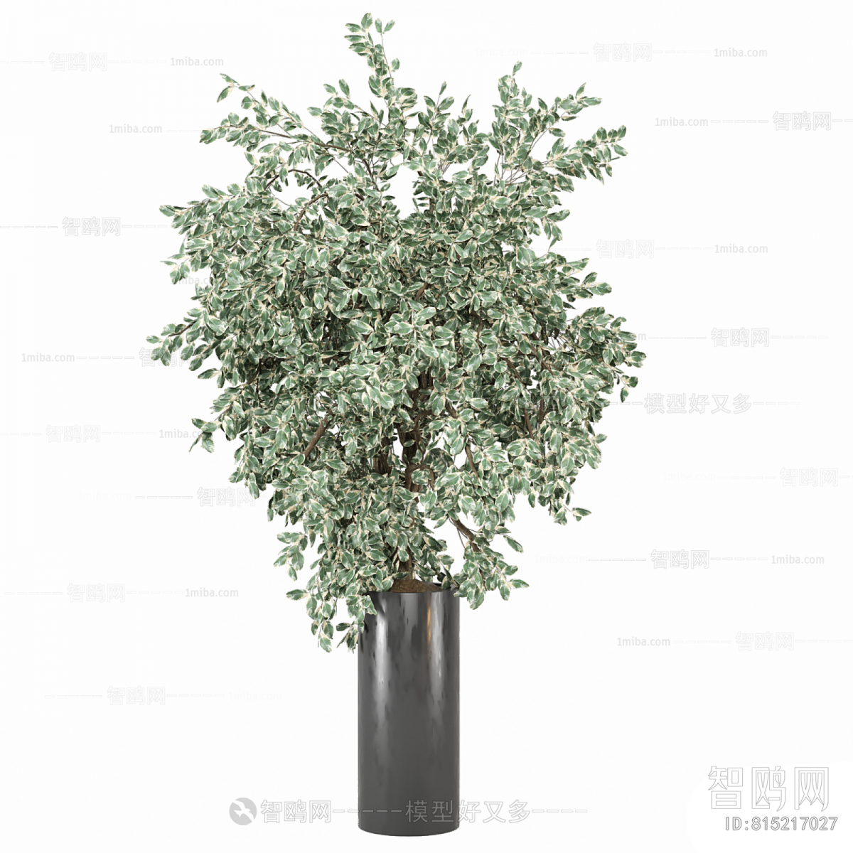 Modern Ground Green Plant Potted Plants