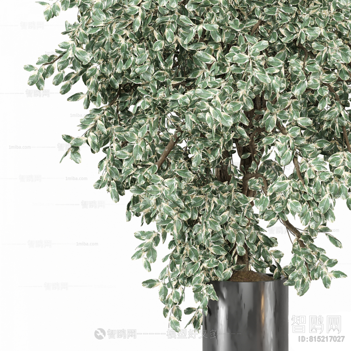 Modern Ground Green Plant Potted Plants