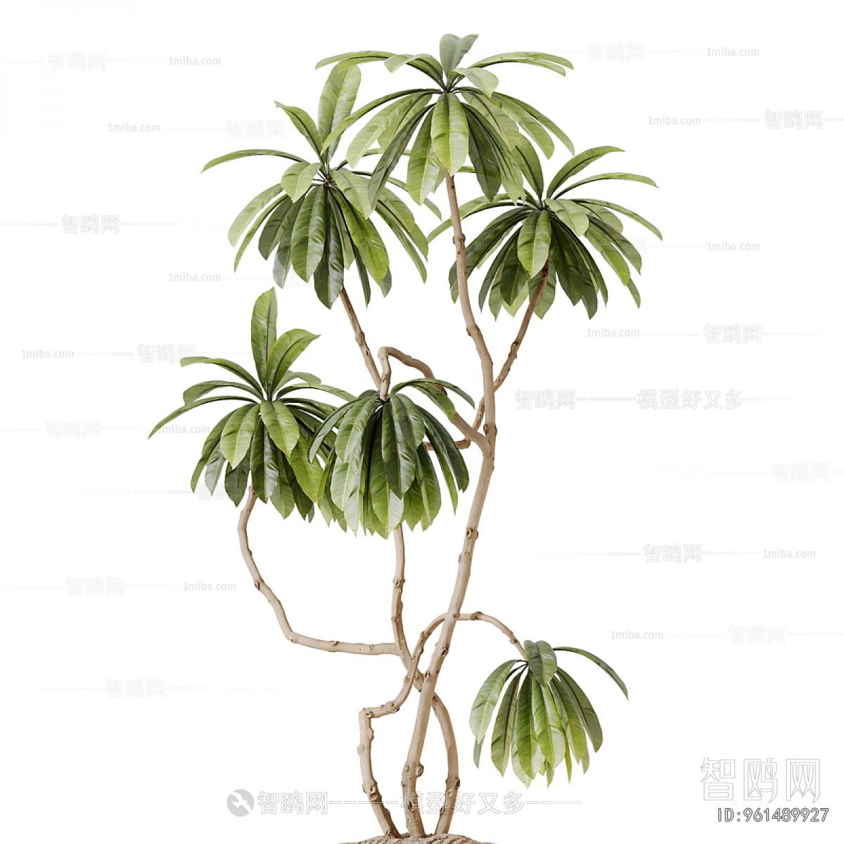 Modern Ground Green Plant Potted Plants