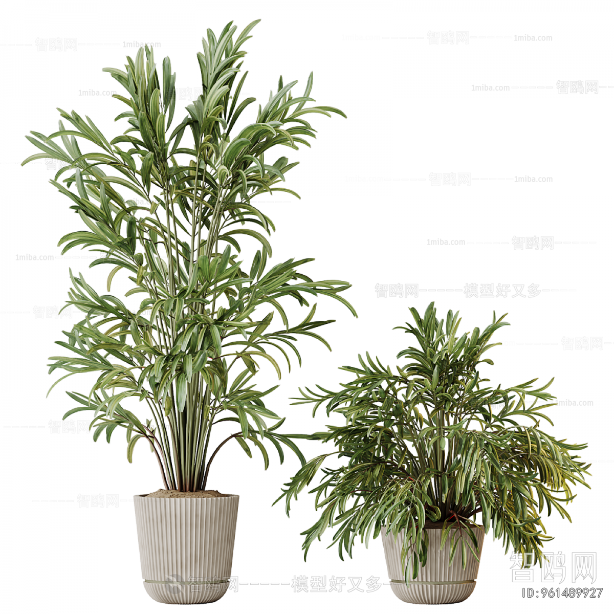 Modern Ground Green Plant Potted Plants