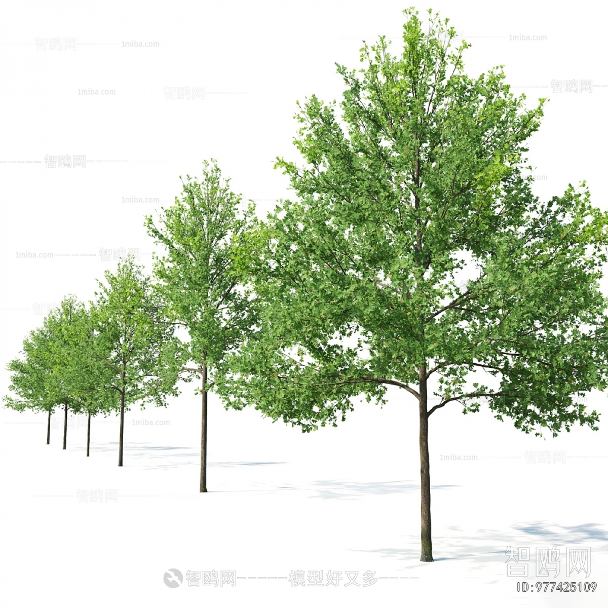 Modern Tree