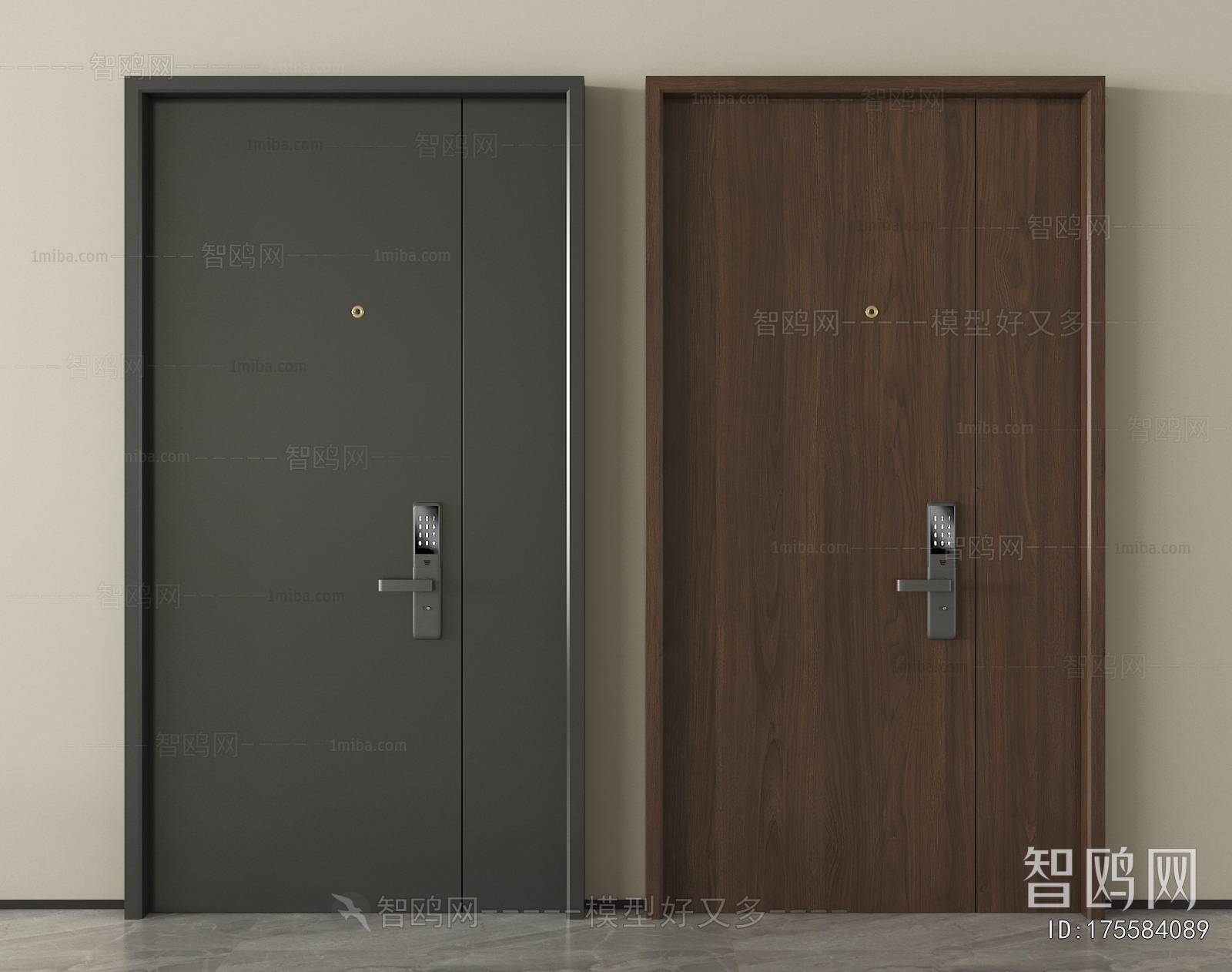 Modern Entrance Door