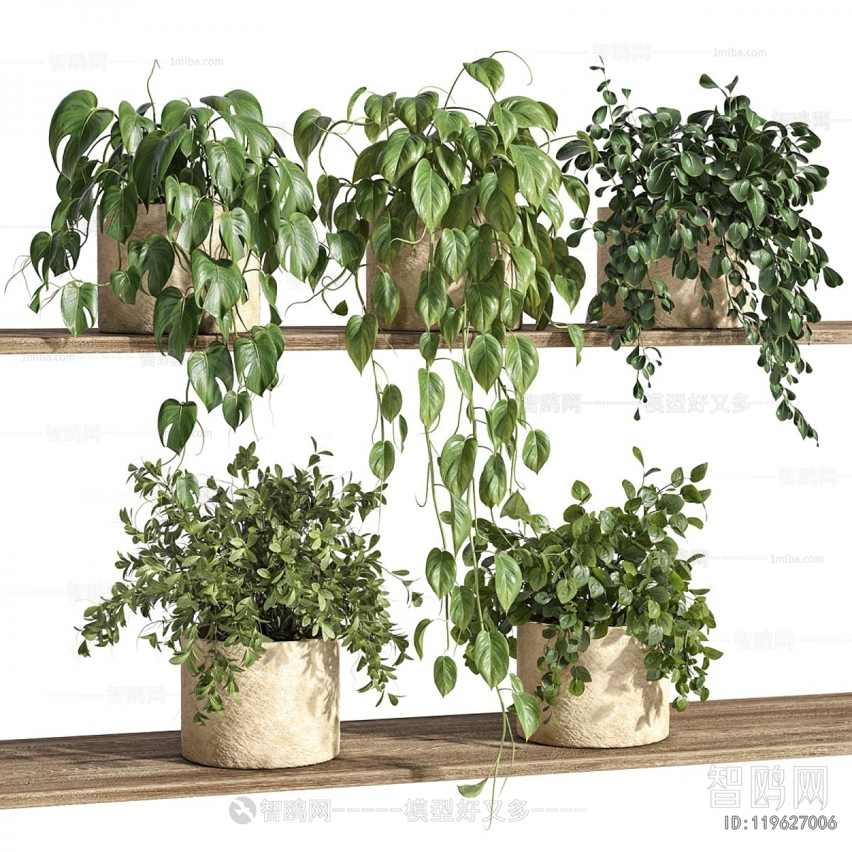 Modern Potted Green Plant