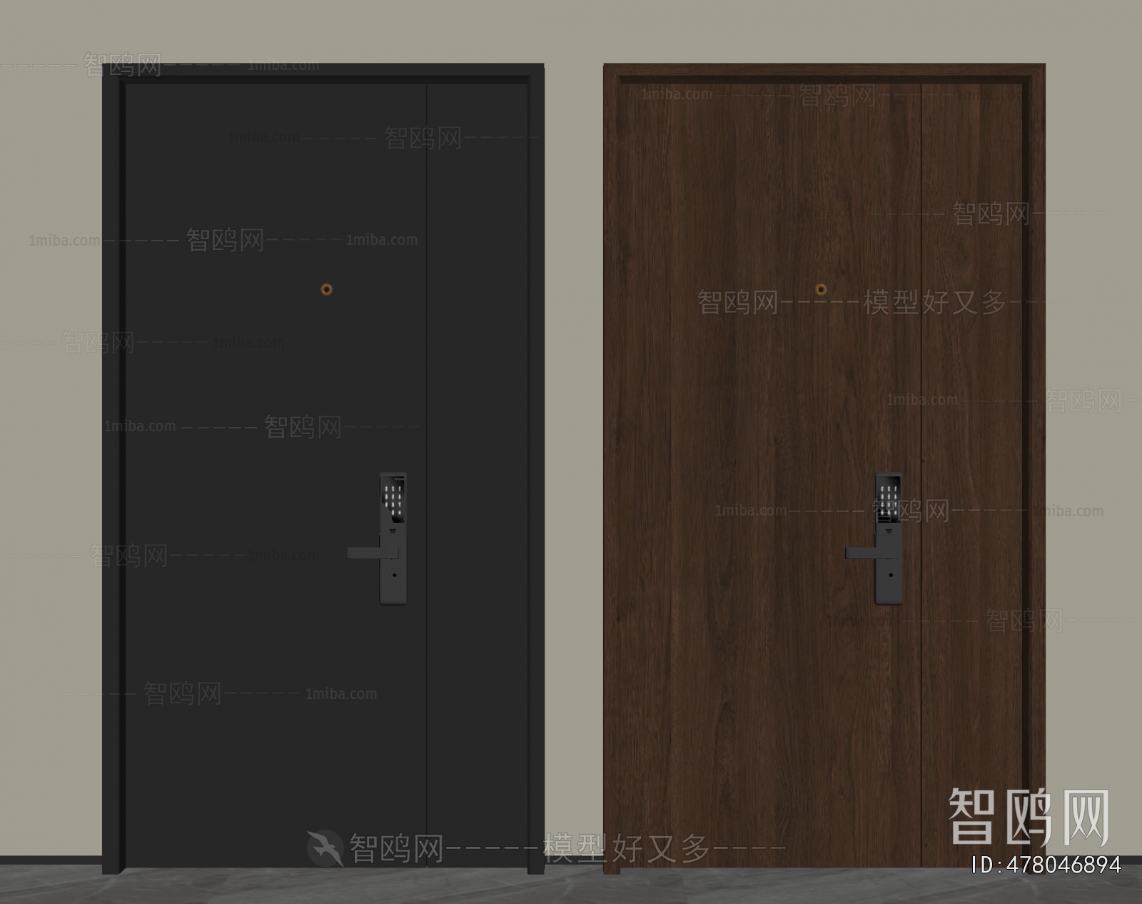 Modern Entrance Door