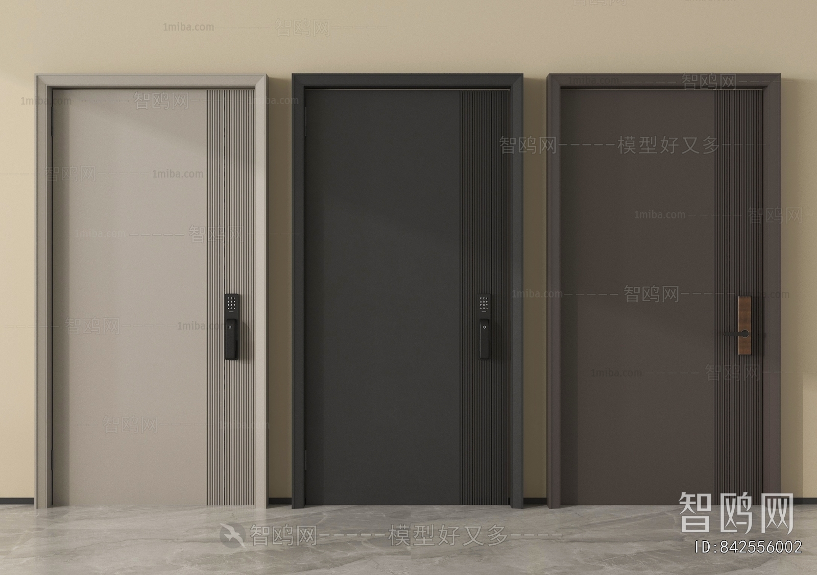 Modern Entrance Door