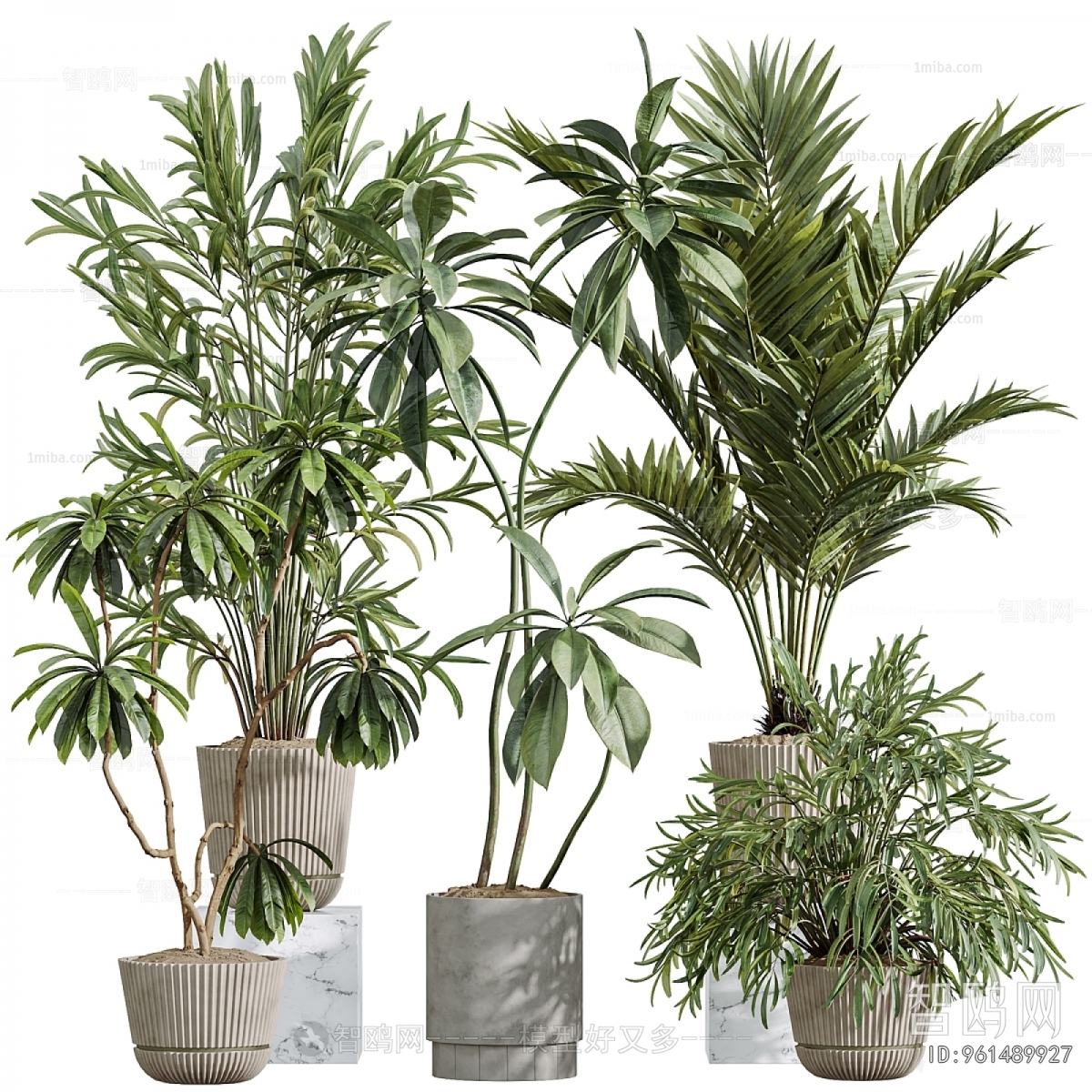 Modern Ground Green Plant Potted Plants