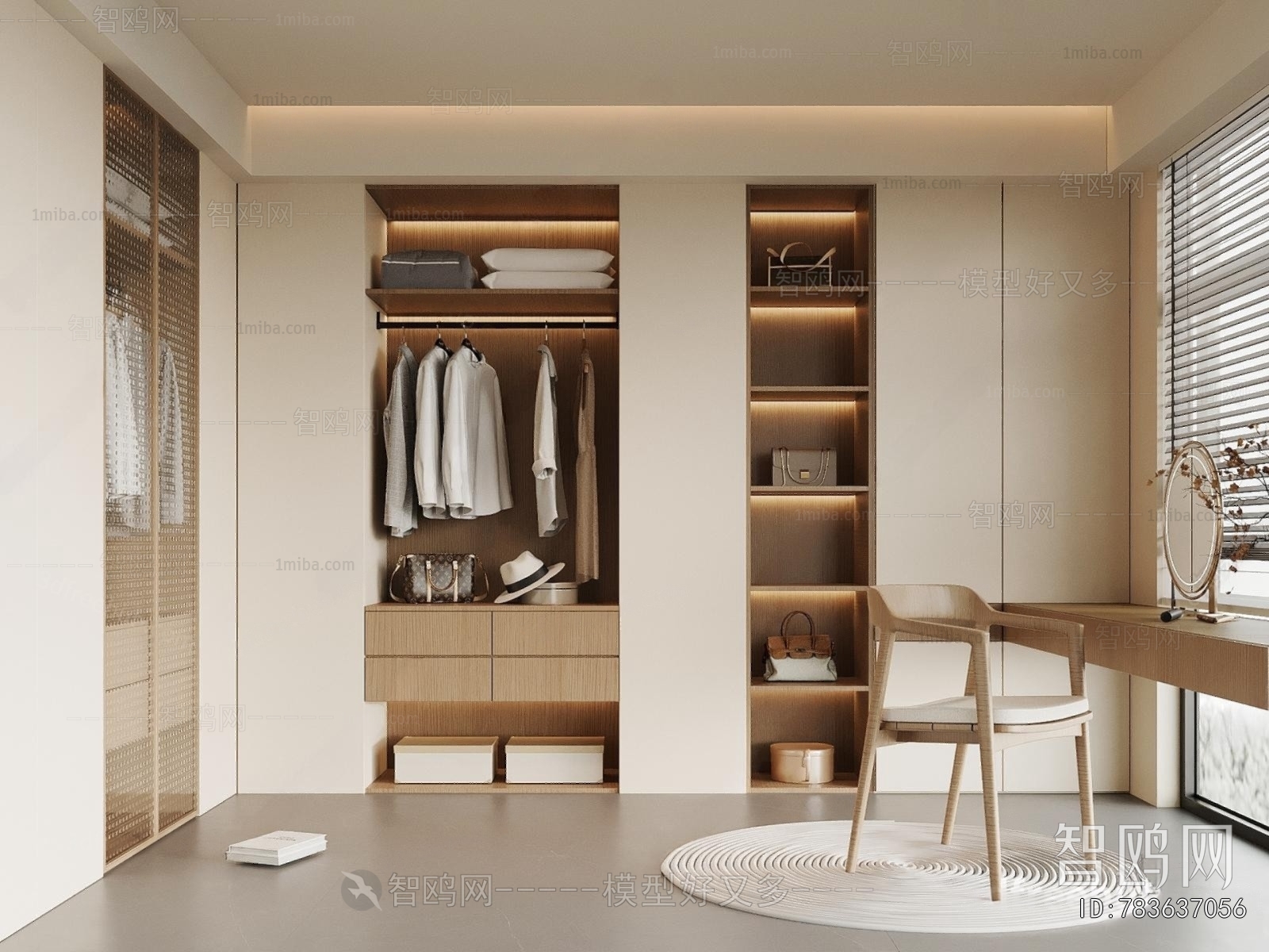 Modern Clothes Storage Area
