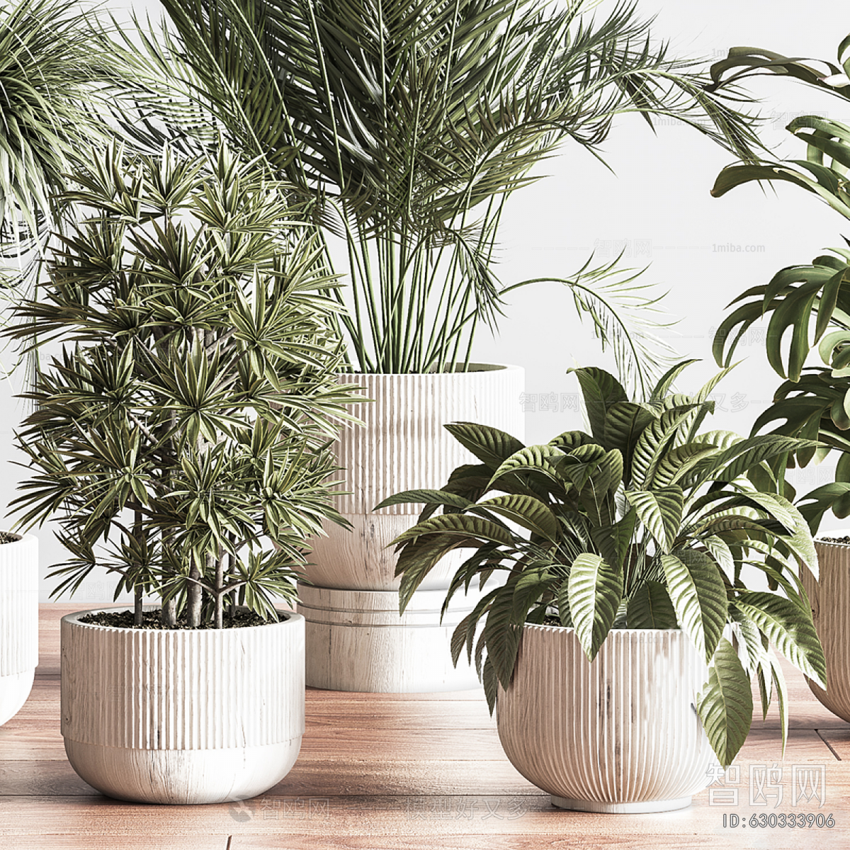 Modern Ground Green Plant Potted Plants
