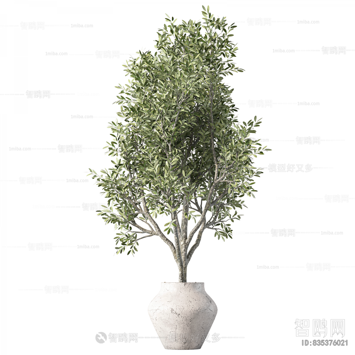 Modern Ground Green Plant Potted Plants